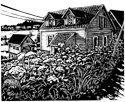 wild celery house thumbnail